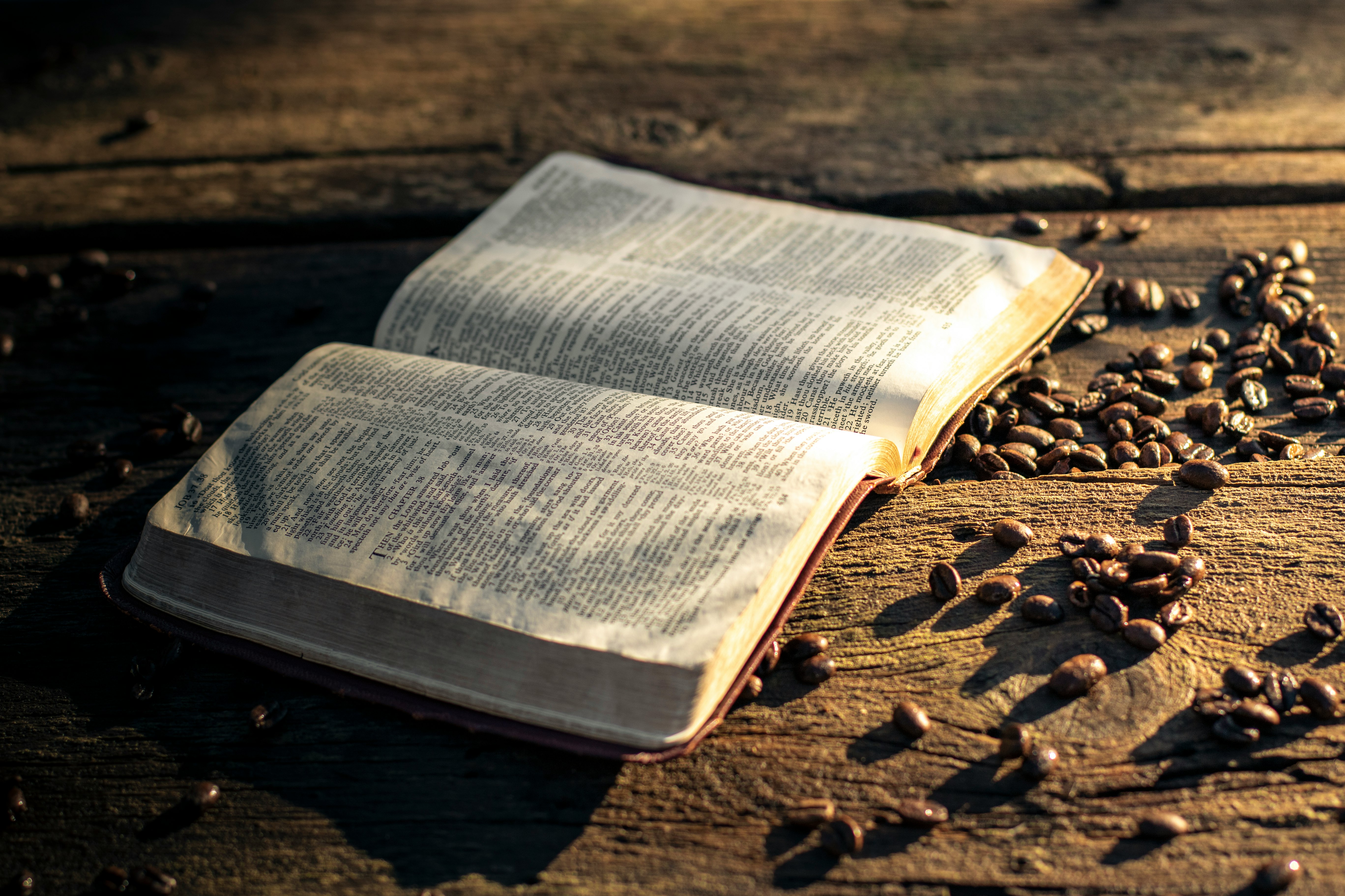 white book on brown wooden table